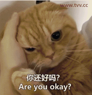 你还好吗?.gif